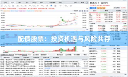 配债股票：投资机遇与风险共存