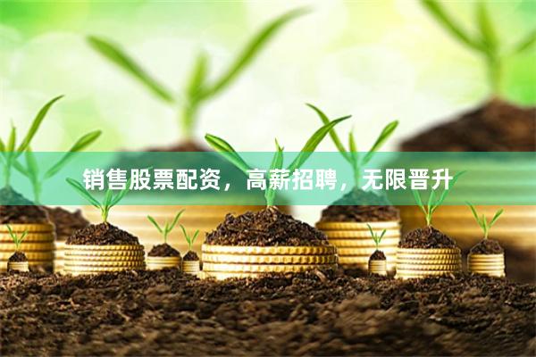 销售股票配资，高薪招聘，无限晋升