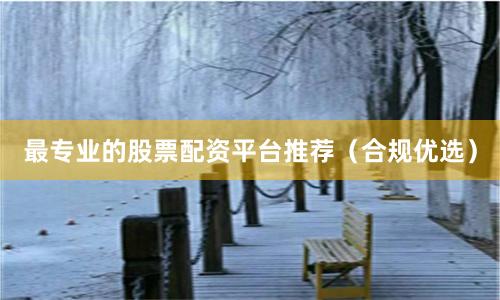 最专业的股票配资平台推荐(合规优选)
