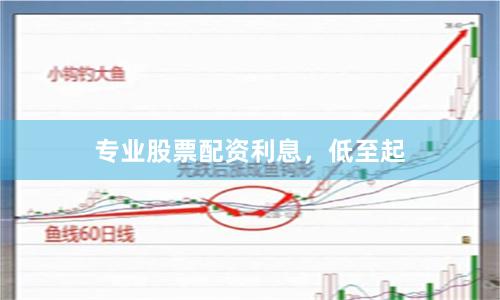 专业股票配资利息，低至起